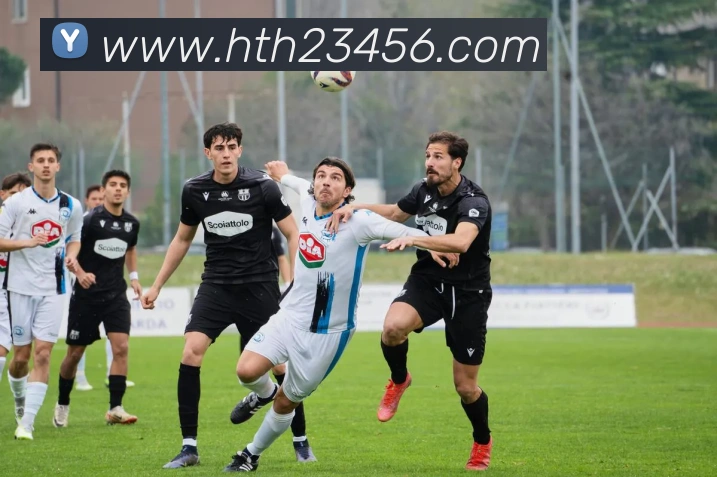 华体会APP 高清赛事图